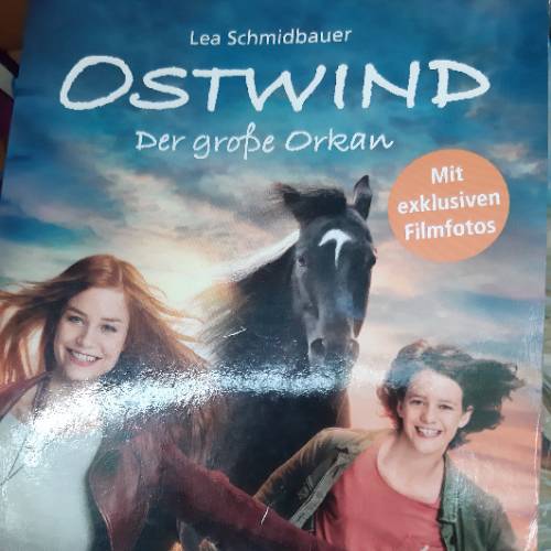 Buch Ostwind Große Orkan, zu finden beim Stand 99 am Standort Flohkids Berlin Ost