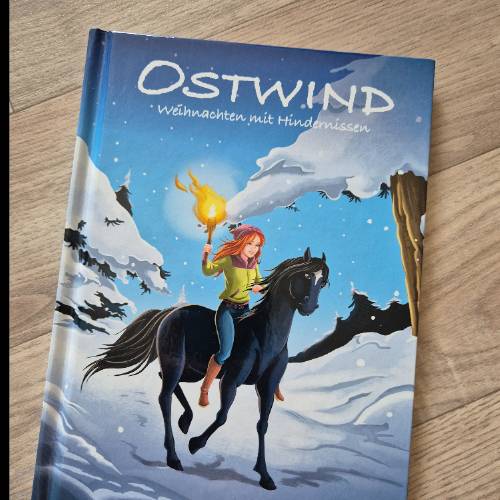 Buch Ostwind, zu finden beim Stand 16 am Standort Flohkids Berlin Ost