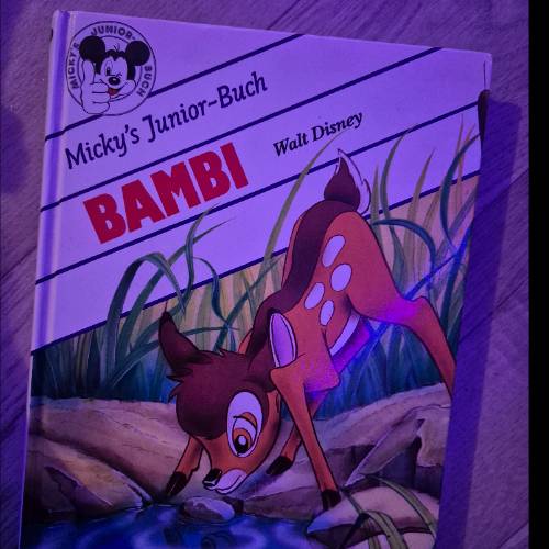 Buch bambi, zu finden beim Stand 16 am Standort Flohkids Berlin Ost