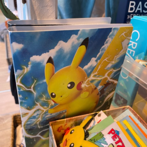 Pokemon Sammelalbum klein , zu finden beim Stand 54 am Standort Flohkids Berlin Ost