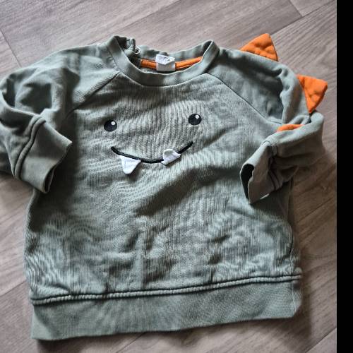 Pullover  Größe: 74 grün h&m, zu finden beim Stand 97 am Standort Flohkids Berlin Ost