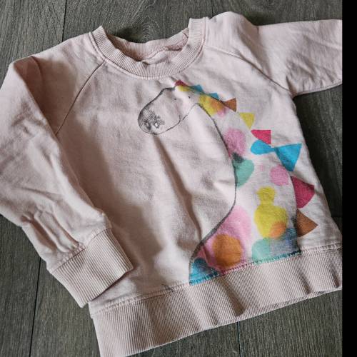 Pullover Dino  Größe: 80, zu finden beim Stand 94 am Standort Flohkids Berlin Ost