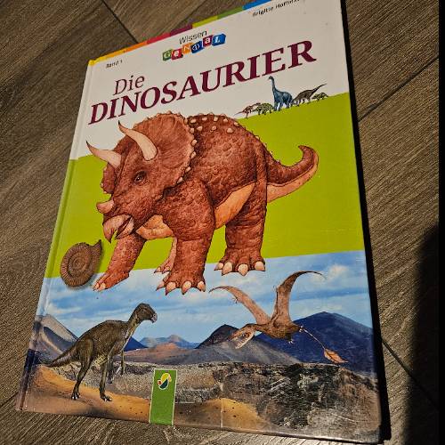 Buch Dinosaurier , zu finden beim Stand 94 am Standort Flohkids Berlin Ost