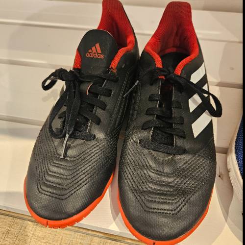 Fußballschuhe Adidas Predator , zu finden beim Stand 204 am Standort Flohkids Berlin Ost