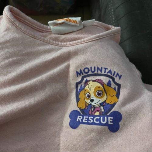 Paw Patrol Pink Top  Größe: 110, zu finden beim Stand 226 am Standort Flohkids Berlin Ost